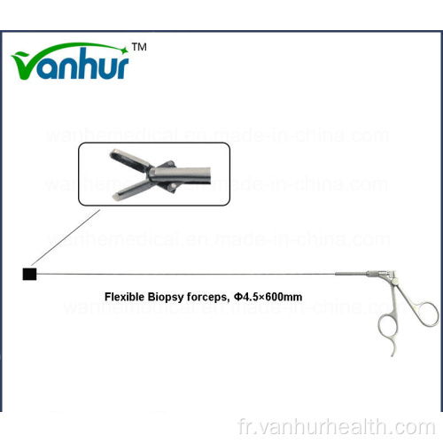 Urétéroscopie Instruments d&#39;urologie Pince à biopsie flexible